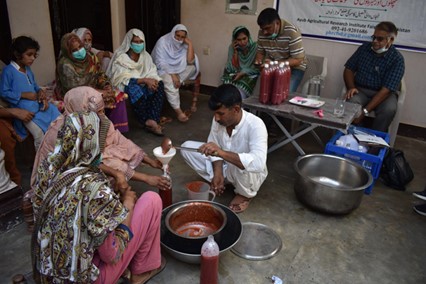 Abdul Rahim Khan is using what he has learned to empower women in Pakistan to develop small businesses. In this photograph, women are learning new food processing techniques (this is not an ACIAR-funded project). Photo supplied by Abdul Rahim Khan.