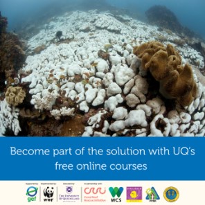 Free online promotion tile