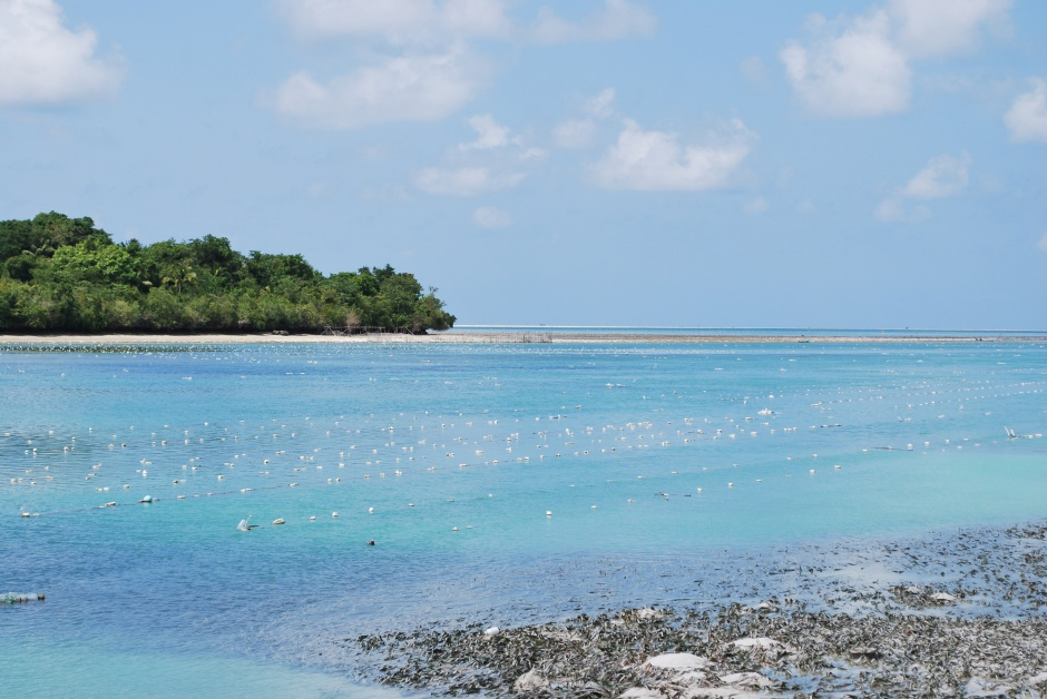 Seaweed farming, Wakatobi. (M. King)