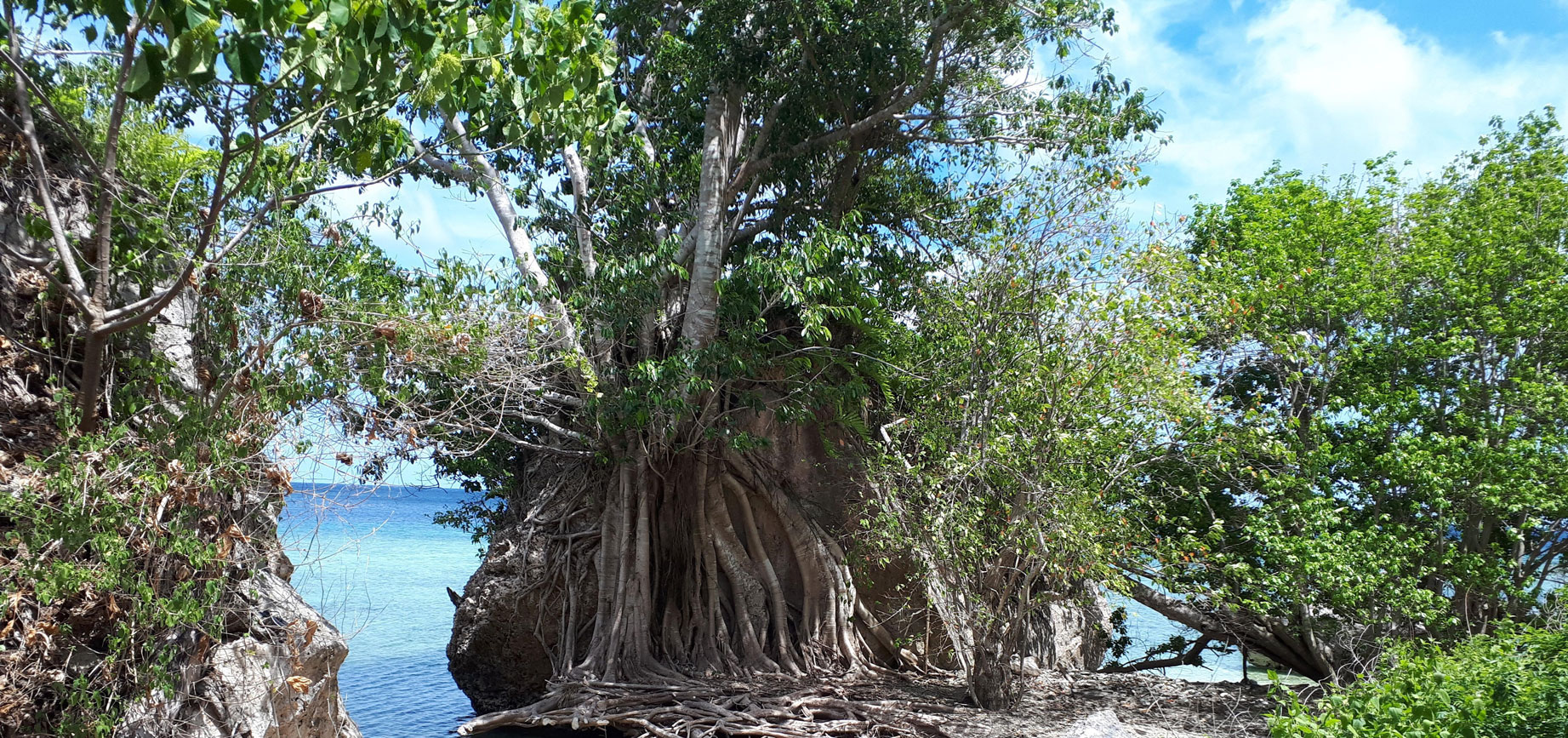 Selayar South Sulawesi, laurent houmeau, CC BY-SA 2.0