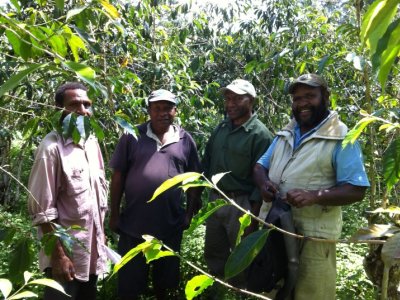 Productive Partnerships in Agriculture in PNG