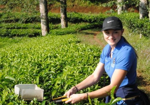 Jessie Harper using shears on produce on the land