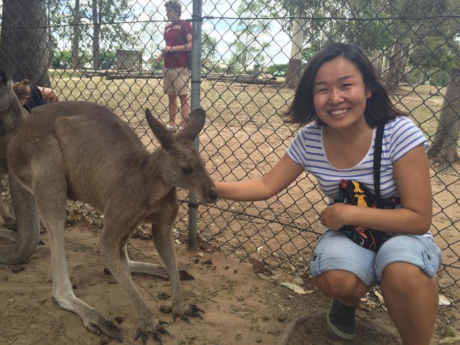 Purevdulam Lkhagvasuren at Lone Pine Koala Sanctuary 