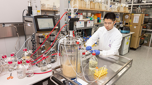 A UQ researcher using a bioreactor, one of the key pieces of equipment in establishing a vaccine candidate.