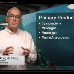 Professor Ove Hoegh-Guldberg still from the MOOCs course 