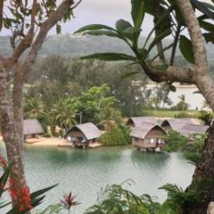 Eco huts in the Pacific