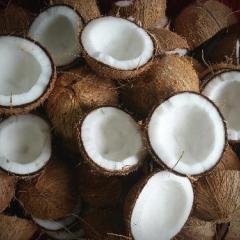Coconuts