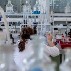 Strategic international initiatives receive seed grant funding