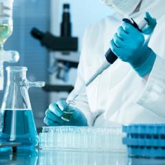 QUEX Accelerator Grants enhance research collaboration between UQ and Exeter 
