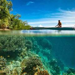 UQ to strengthen leadership capabilities of Pacific fisheries leaders