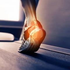 foot