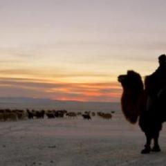 Agricultural extension for livestock herders