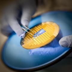 needle free vaccination device - tiny needles in circular yellow disc that goes directly onto the skin