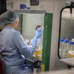  UQ vaccine scientists report positive results from pre-clinical testing