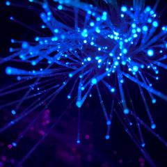 blue connected lights that could looks electronic, as well as like DNA up close. 