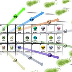 metallic antibiotics illustrated off periodic table