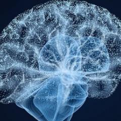 Blue brain with a dotted outline