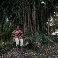 ACIAR announces new online learning program