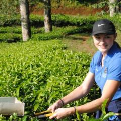 Jessie Harper using shears on produce on the land