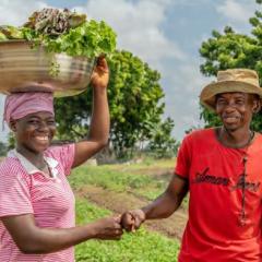Agri-food experts share ‘farm to plate’ knowledge with developing world