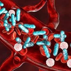 colour drawing of blood vessels with antiflammatory respsonses like pills in the veins
