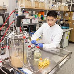 Researcher in lab