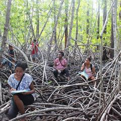 women sitting in groves of trees