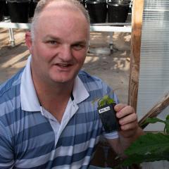 Chris O'Brien holding small avocado plant recovered from cryopreservation. 