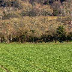UK field 