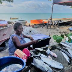 Person sat on the beach selling fish