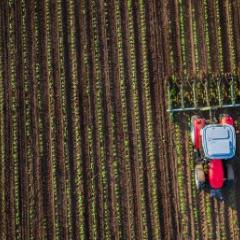 One research project aims to develop crop yield prediction systems using satellite data and biophysical crop modelling. iStockphoto