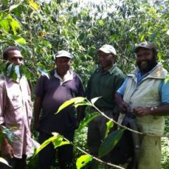 Productive Partnerships in Agriculture in PNG