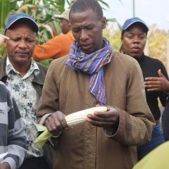 A farmer holding his crop, in Moshi Tanzania  (Credit: Dr Caspar Roxburgh)