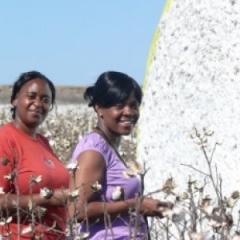 Dryland Farming Africa Fellowship