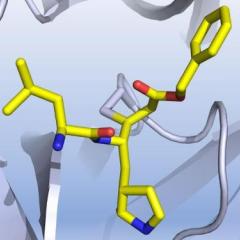 drug compounds - yellow with highlighted chains of blue and red