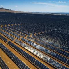 Aerial view of Warwick solar farm - bright blue sky with lines and lines of solar panels
