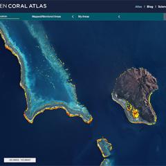 highlighted yellow coral reef bleaching areas around atoll in the ocean 