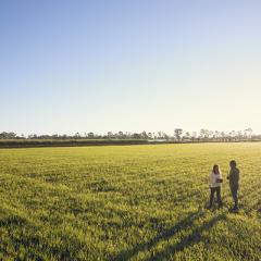 open field with two people in the foreground