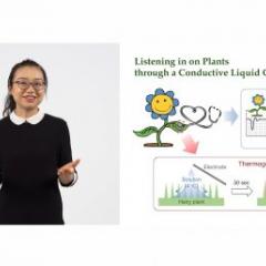 Plant researcher from Singapore wins virtual Asia-Pacific 3MT