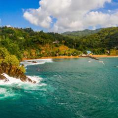 Barbados Island coast in Fiji