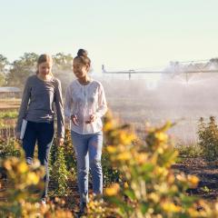 Women farming in a field while talking