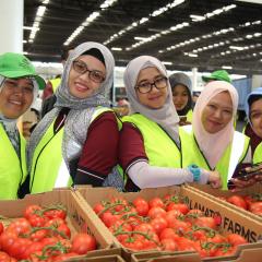 Women posing in front of packed tomatoes