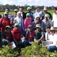 Awardees at a farm in Kingaroy District: Medium scale peanut production systems in rotation with maize