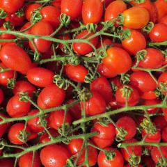 Tomato value chain in Ghana